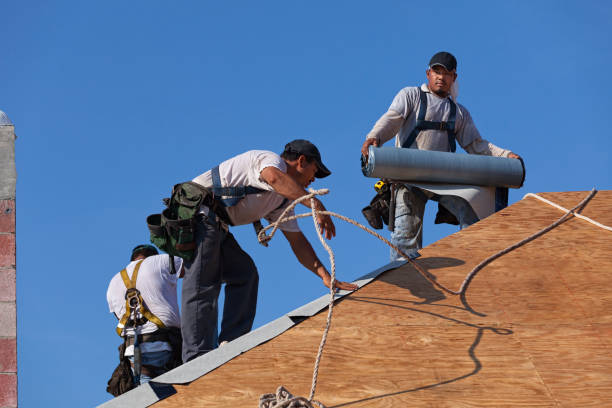 Best Roof Restoration Services  in Newington Forest, VA