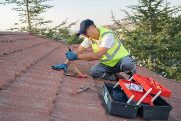 Best Roof Maintenance Services  in Newington Forest, VA